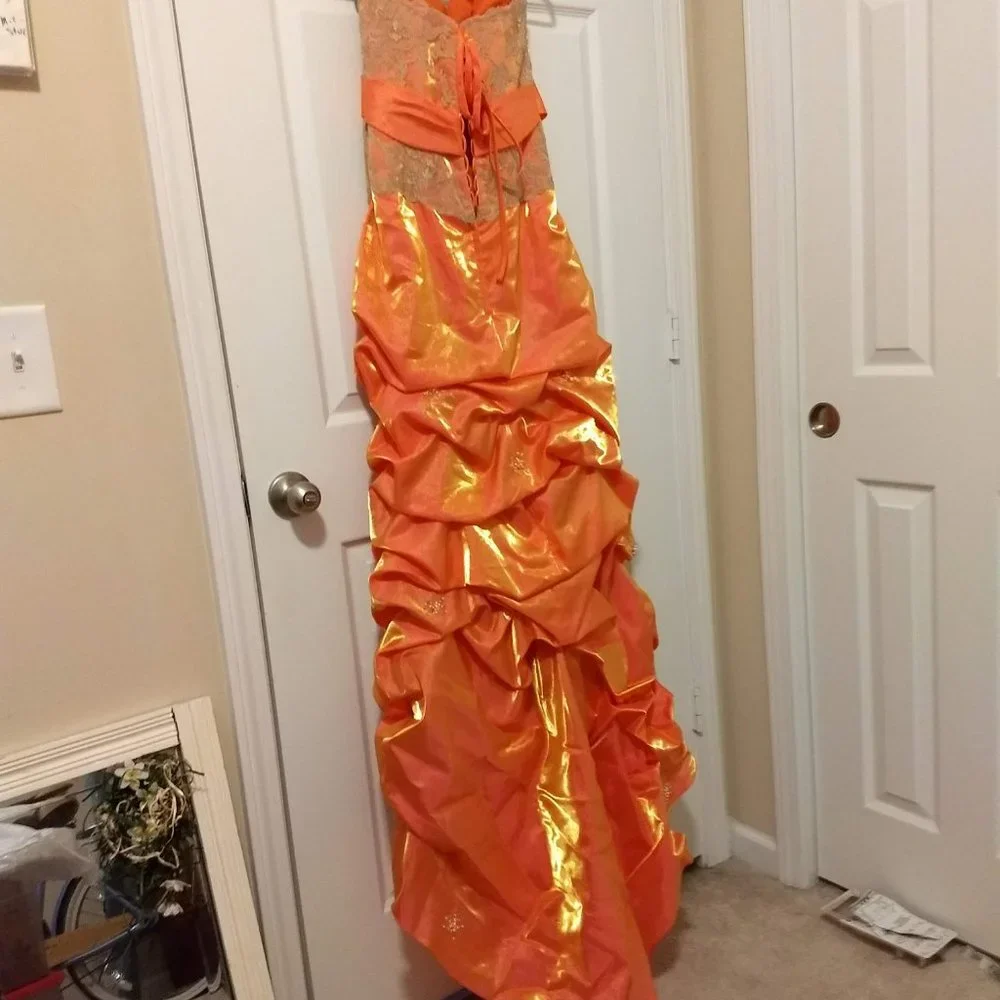Prom/Formal Gown - Picture 7 of 8